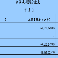 2016利润及利润分配表最新表格模板