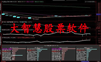 大智慧股票软件