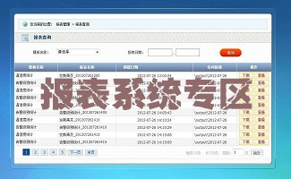 报表系统专区