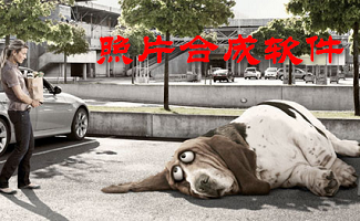 照片合成软件大全