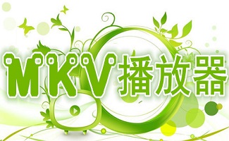 mkv播放器