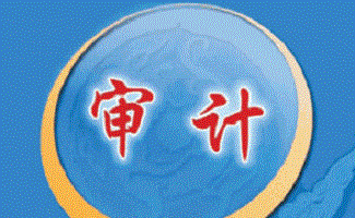 审计软件