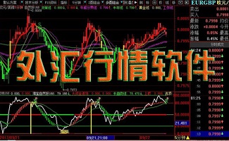 外汇行情软件