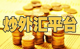 炒外汇软件