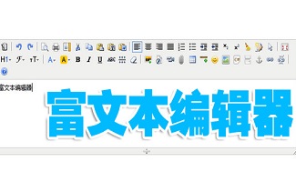 富文本编辑器