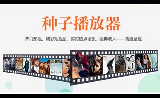 种子播放器大全