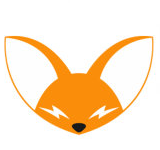 电狐