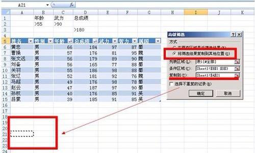 复制筛选结果