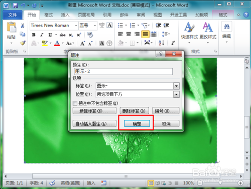 word 2010