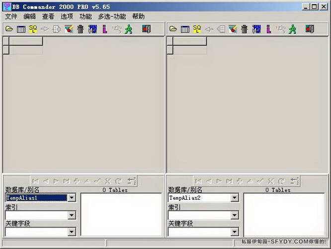 dbc2000中文汉化版