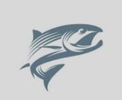 Fish Dish