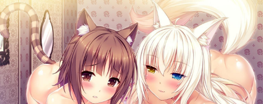 nekopara补丁,nekopara18x补丁图片 nekoparavol.3高清动态cg包 12016-06-272.03mb国产软件