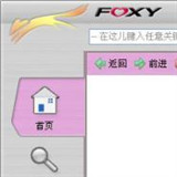 foxy下载器