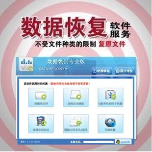 U盘数据恢复软件大师