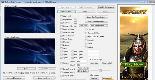 Falco Auto Image