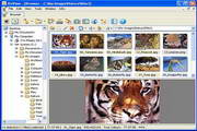 XnViewMP (x64)