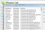 Windows杀毒伴侣