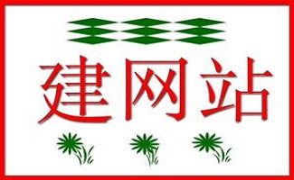 建网站软件