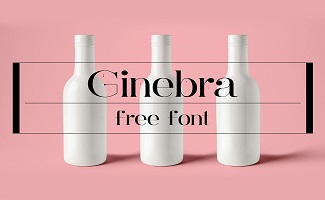 好看的英文字体