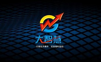 大智慧软件