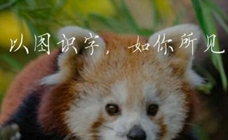 图文识别小程序