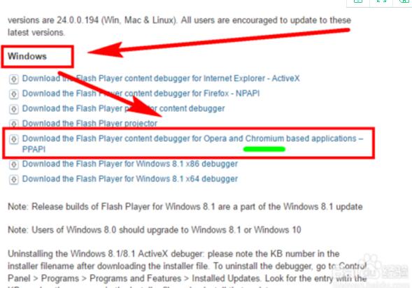 Adobe Flash Player