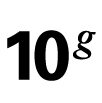 oracle10g