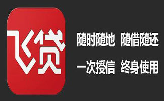 飞贷大全