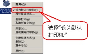 爱普生 LQ-630K 打印机驱动截图