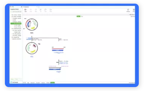 SnapGene