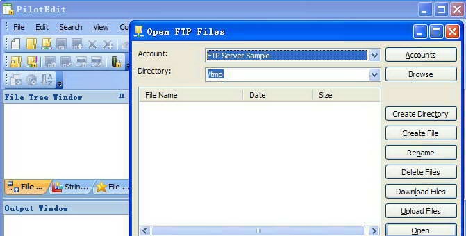 PilotEdit(64-bit)